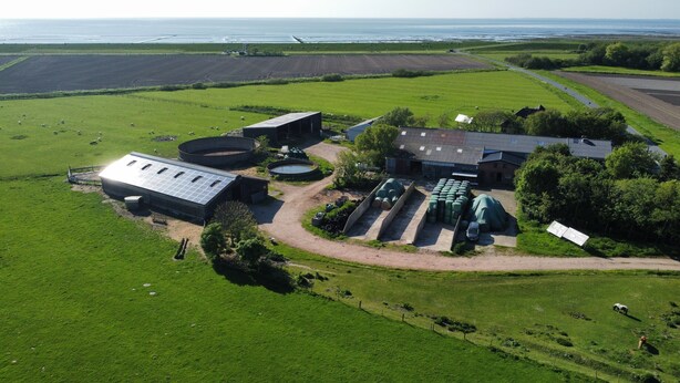 Eine Vogelperspektive zeigt eine Landwirtschaftsfläche mit grünen Feldern, ein großes Gebäude inklusive Solaranlage und ein Gewässer im Hintergrund.