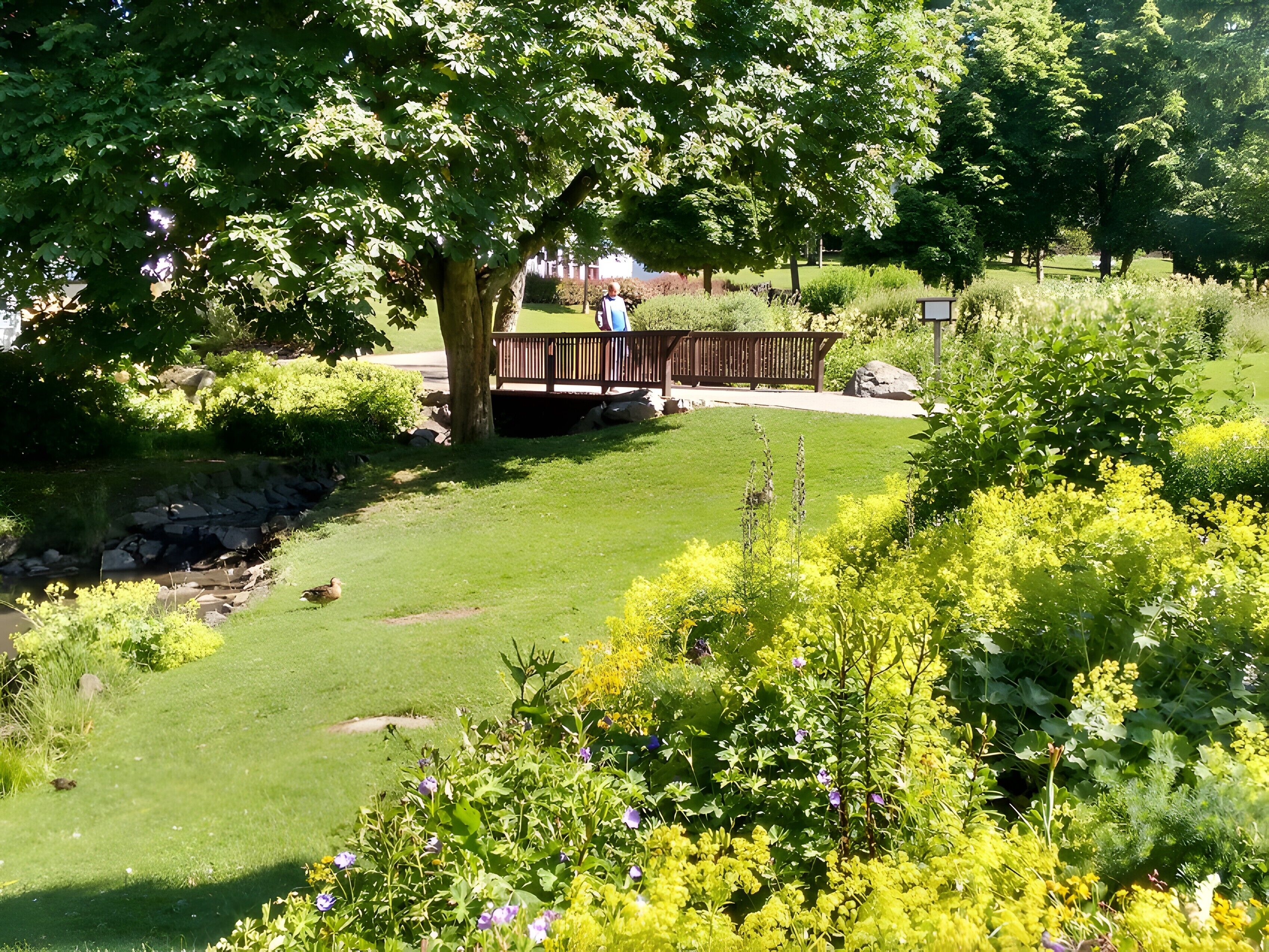 Overnatningsstedets område