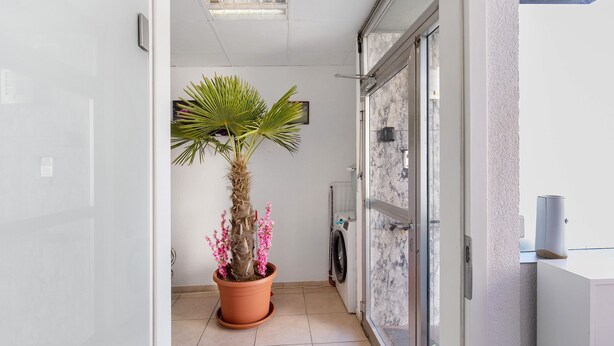 Un couloir avec une plante en pot, un lave-linge et une porte donnant sur une autre pièce.