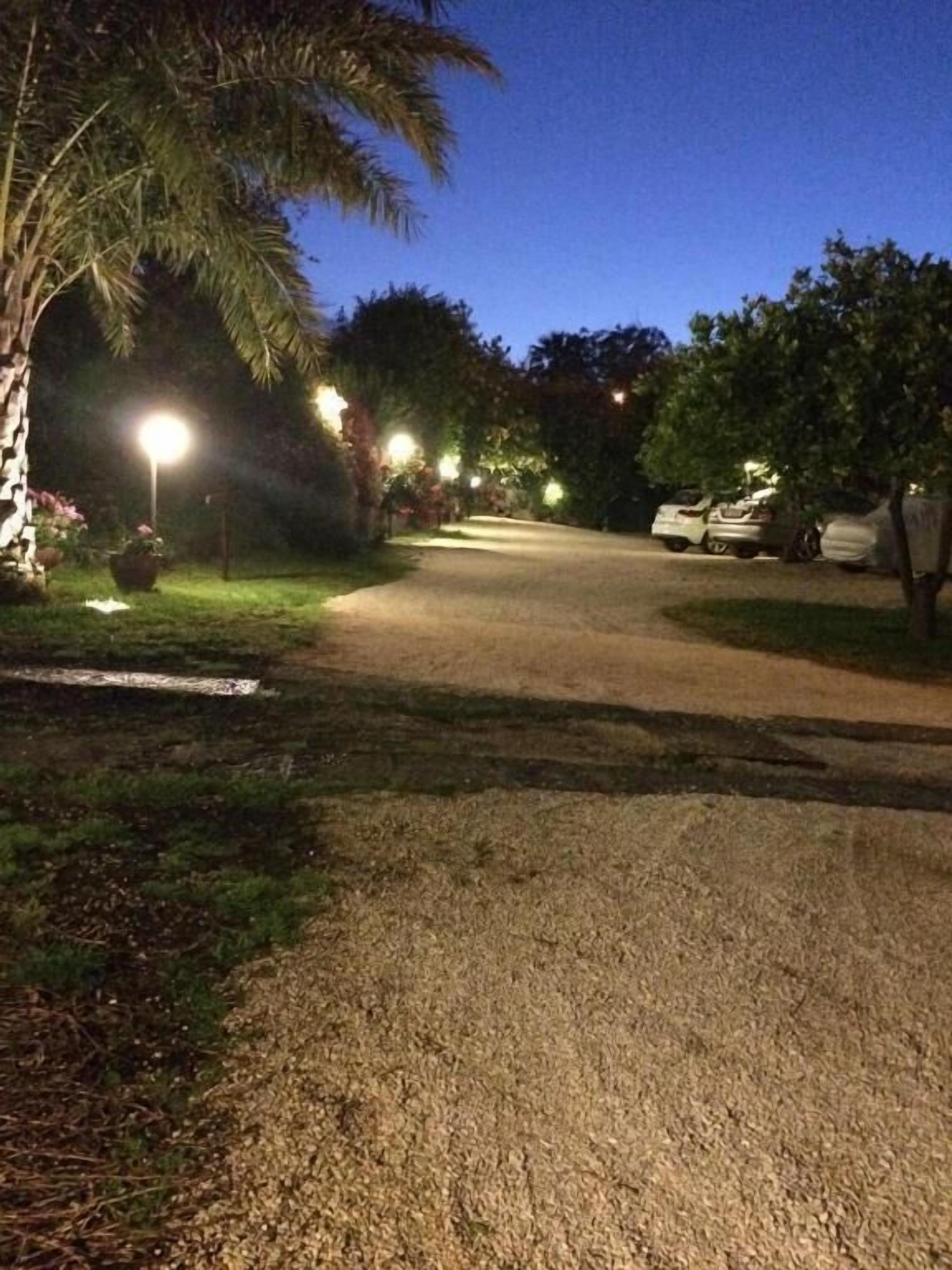 A paved driveway leading to a parking area with trees and street lamps.