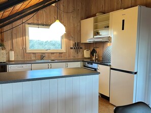 Fridge, microwave, dishwasher, cookware/dishes/utensils - "Mimi" - 120m from the sea by Interhome (Thisted)