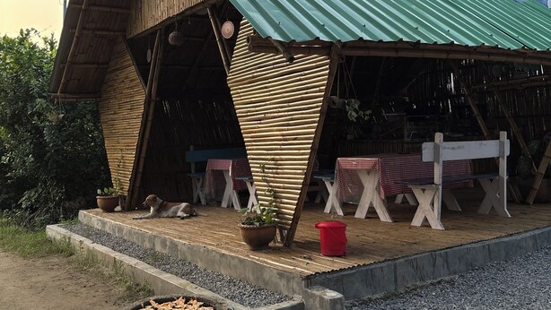 A rustic wooden structure with a green metal roof, a small porch area with checkered tables, and a fire pit. - Villagelife (Mikirbheta)