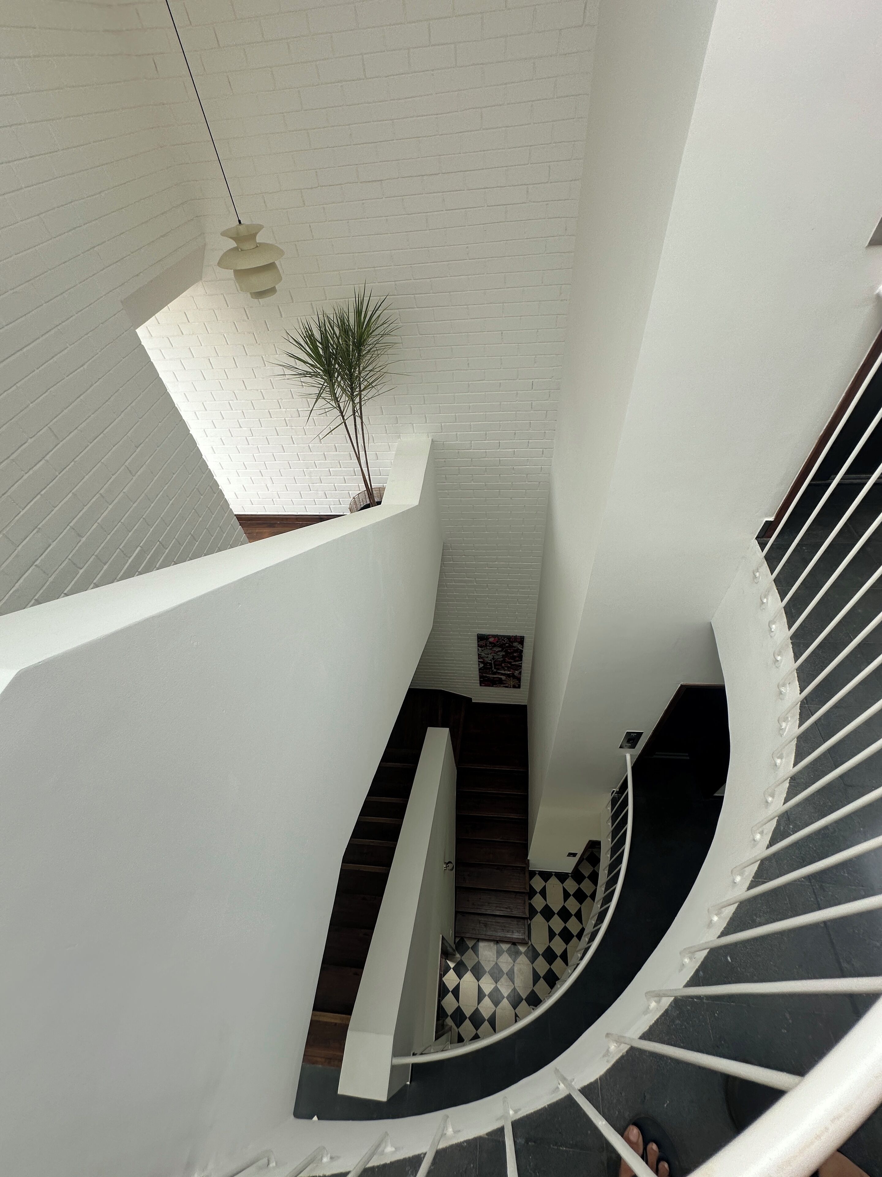 Ein modernes Interieur mit einer Wendeltreppe, weißen Wänden und einer kleinen Pflanze auf einem Sims.