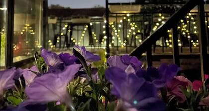 Liaoliaoxin Loft Hotel Beijing Gulou