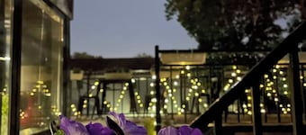 Liaoliaoxin Loft Hotel Beijing Gulou