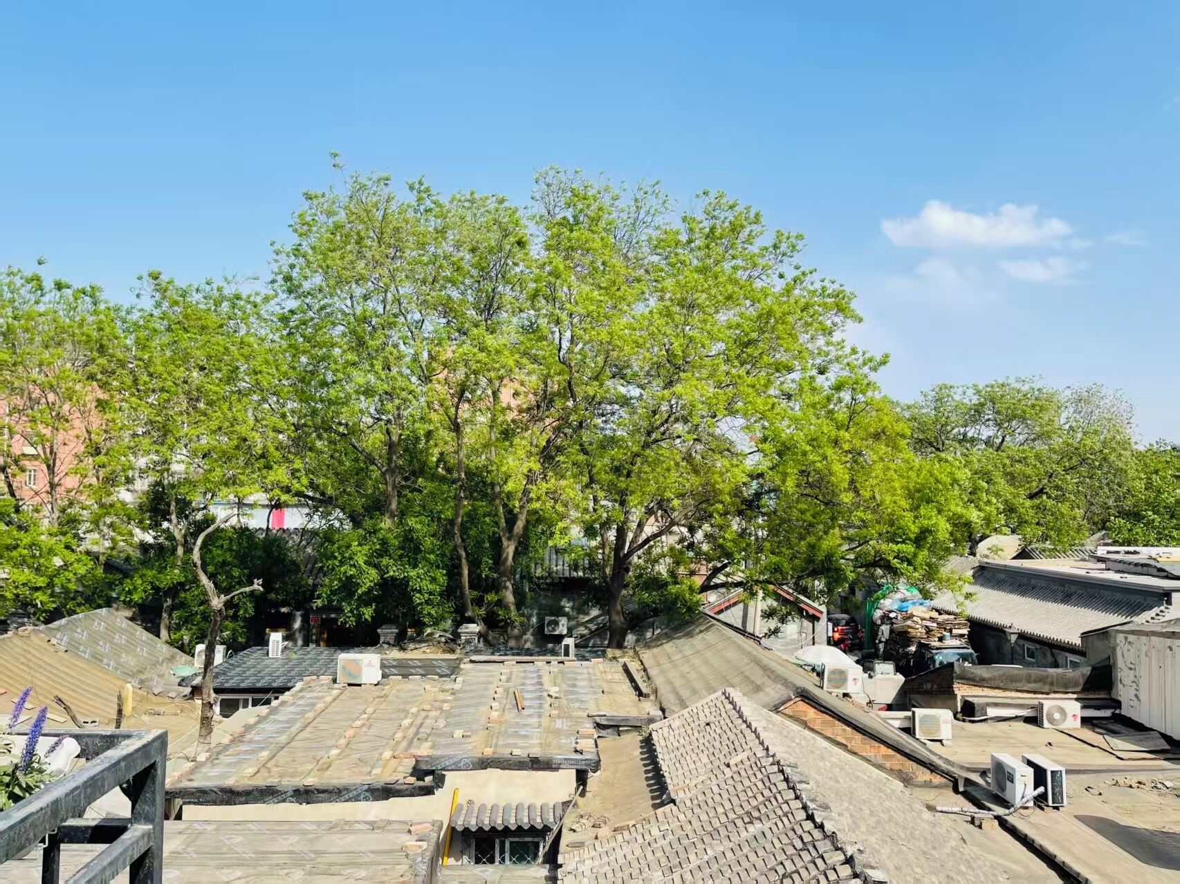 A rooftop with construction materials and a large tree in the background.