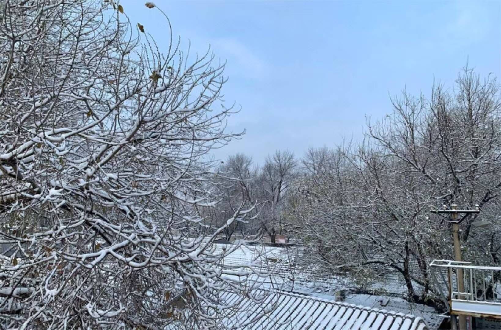 A snow-covered landscape with bare trees and a building with a sloped roof.
