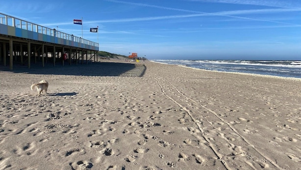 Una spiaggia con un molo, impronte e bandiere.