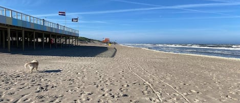 Plage à proximité