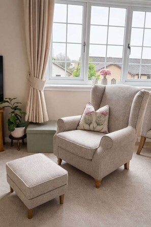 TV, fireplace, books