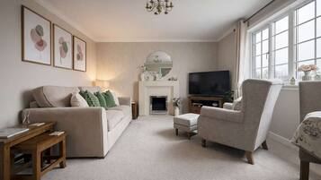 TV, fireplace, books