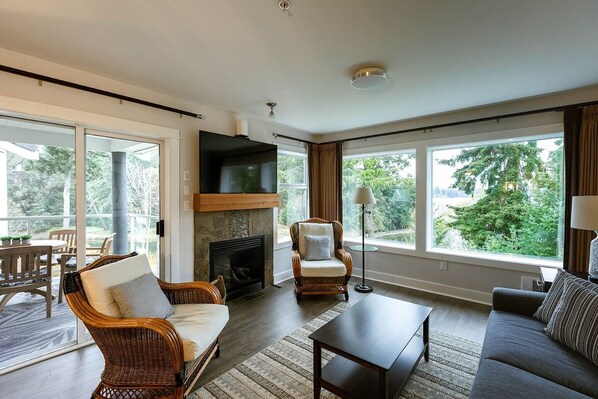 TV, fireplace