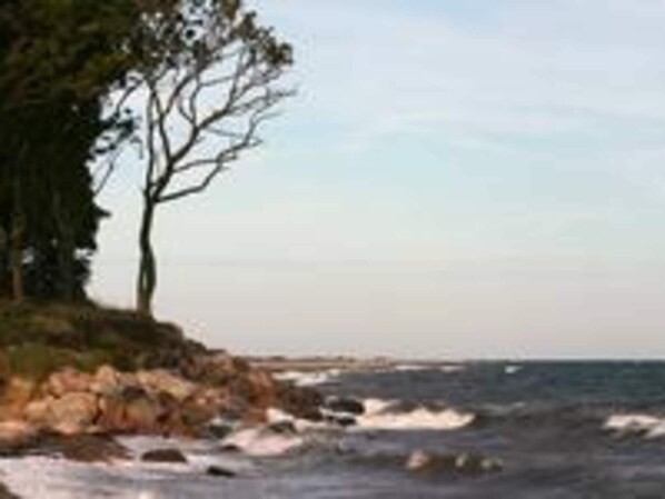 Miscellaneous - Seaside Haven With Views - By Traum Ferienwohnungen (Sydlangeland)