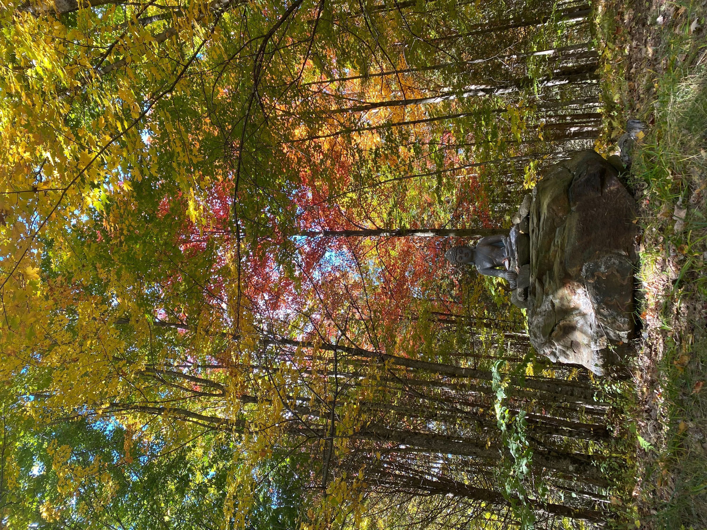 A stone bridge in a forest with autumn foliage.