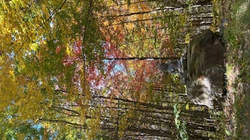A stone bridge in a forest with autumn foliage.