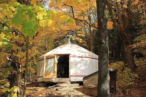 Une yourte dans une forêt, entourée de feuilles d’automne, avec une porte et une petite structure attenante.
