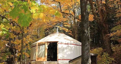 Relaxing Nature Retreat Perfect for Large Groups