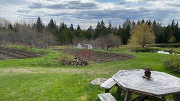 公寓 | 15 間臥室