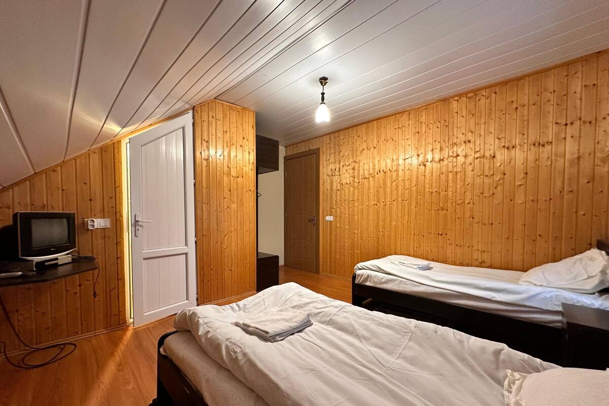 Chambre Double ou avec lits jumeaux, vue montagne | Wi-Fi gratuit