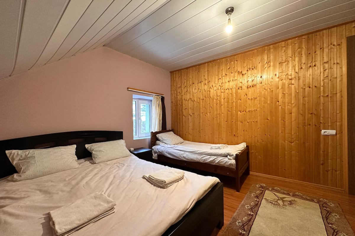 Basic Triple Room, Mountain View