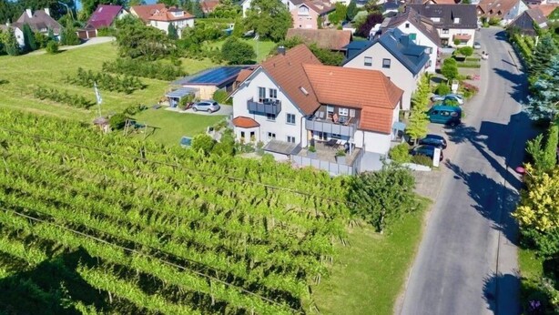 Un quartier résidentiel avec des maisons, une route et un vignoble.