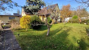 A residential garden with a lawn, a pathway, and a variety of trees and shrubs.