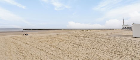 在海灘附近