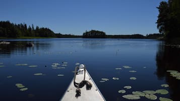 Un lago tranquilo con un bote amarrado en la orilla, rodeado de árboles y lirios.