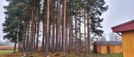 Ferienhaus | Außenbereich