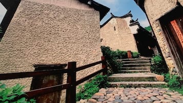 Vườn