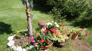 En trädgård med olika sorters krukväxter och blommor.