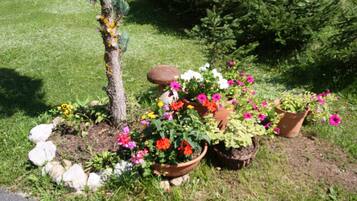 Departamento | Jardín