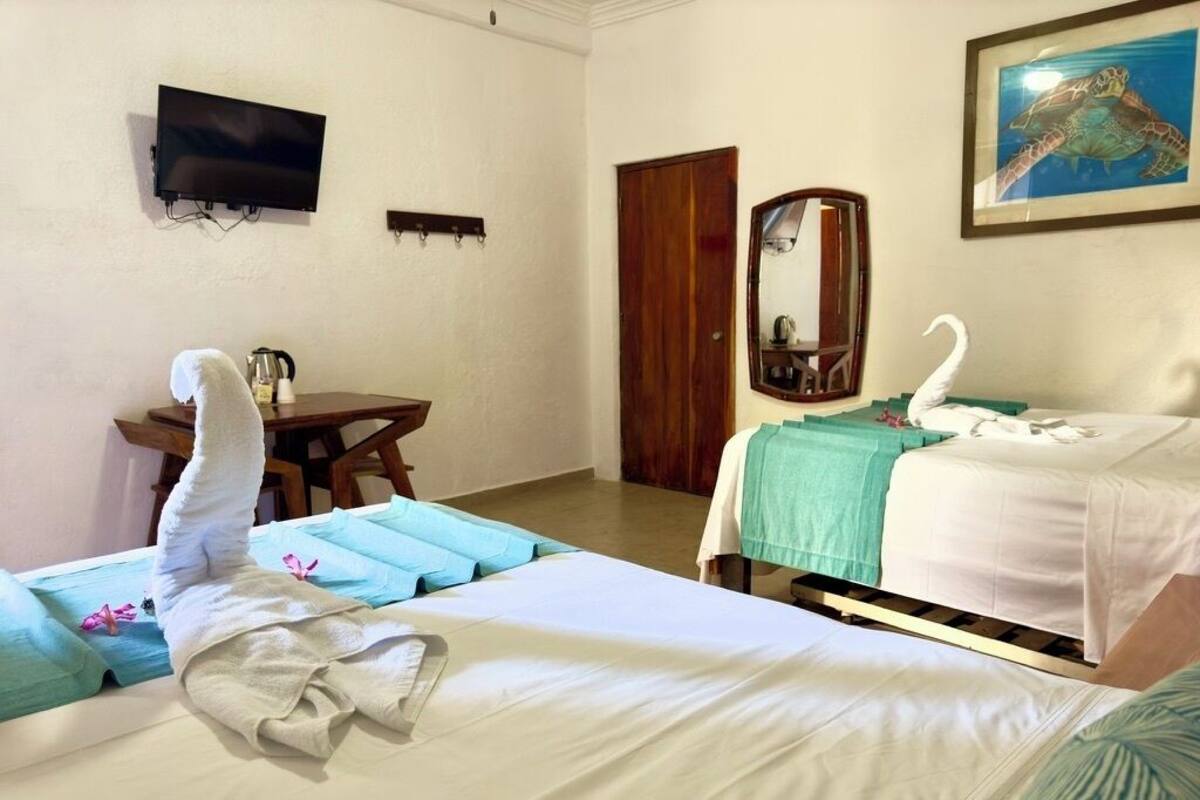 Ein Hotelzimmer mit zwei Betten, einem Schreibtisch, einem Stuhl, einem Fernseher, einem Spiegel und einem Bild einer Schildkröte.