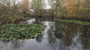 Boendeområde