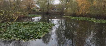 Tante Jannis Sommerpension