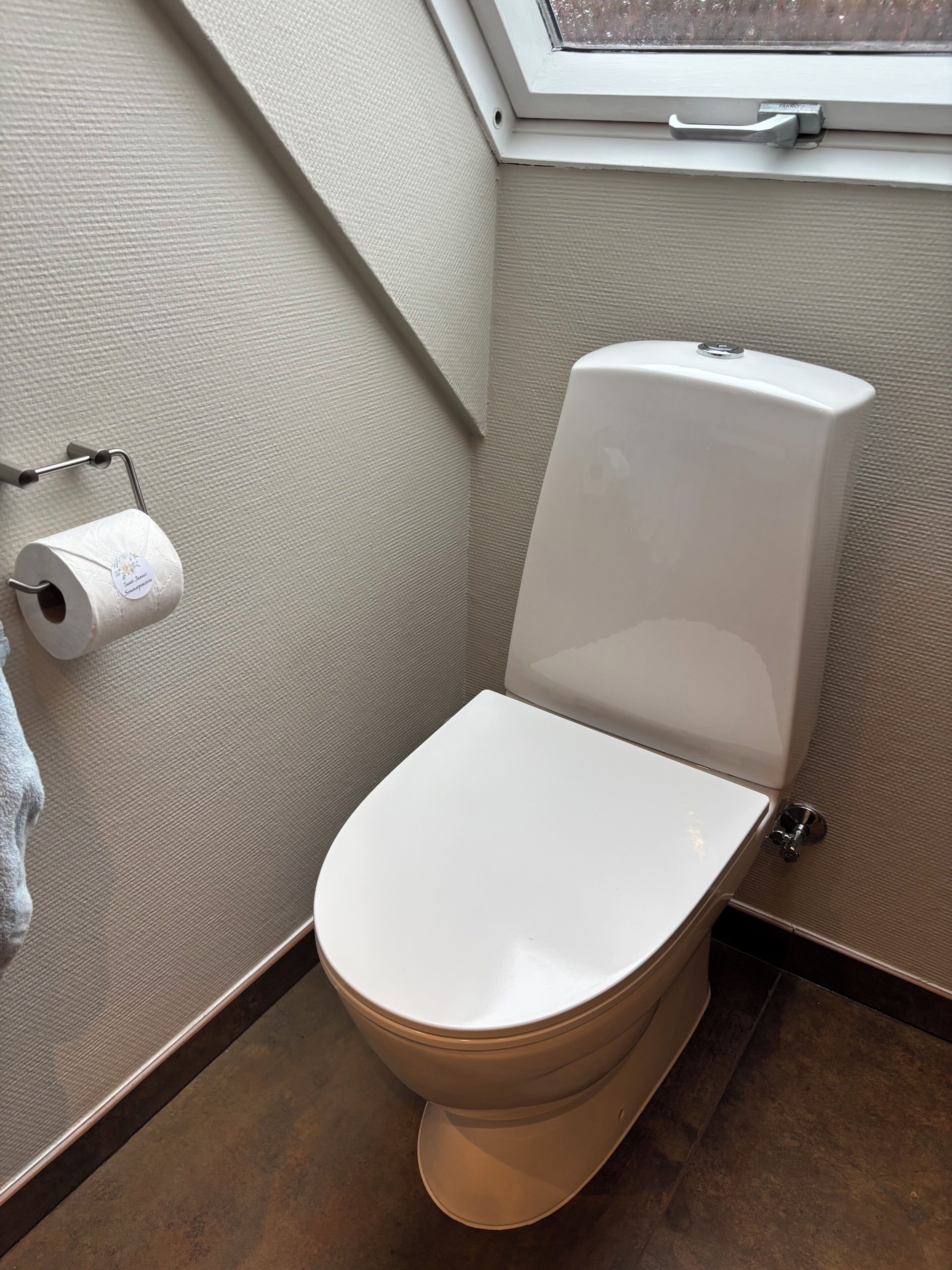 Toilet met een witte tank en deksel, een rol toiletpapier op een houder, en een dakraam erboven.