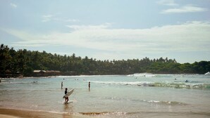 Une plage bordée de palmiers, des gens dans l’eau et une personne qui porte une planche de surf.