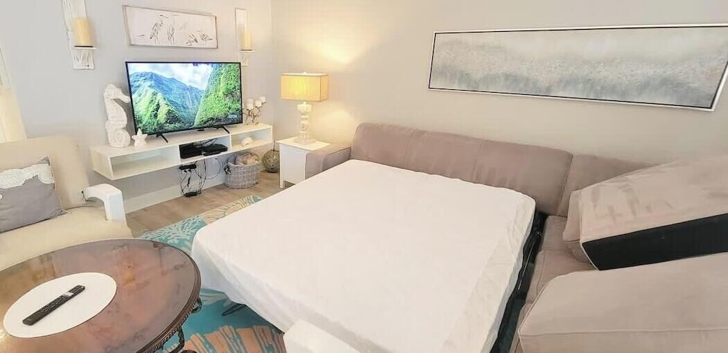 Una habitación de hotel moderna con una cama grande, un televisor, un sofá y una mesita de centro.