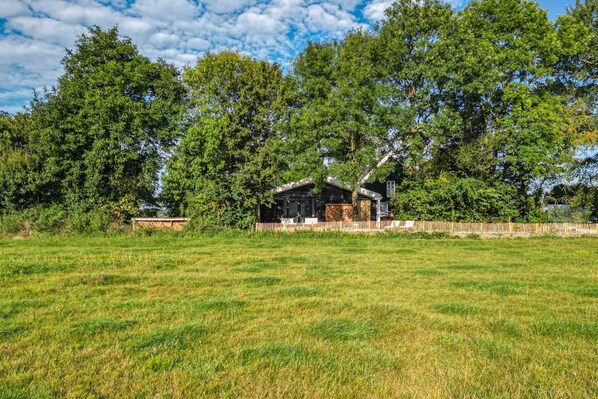 House | Property grounds
