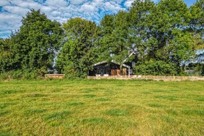 House | Property grounds