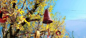 Manali Heart Villa