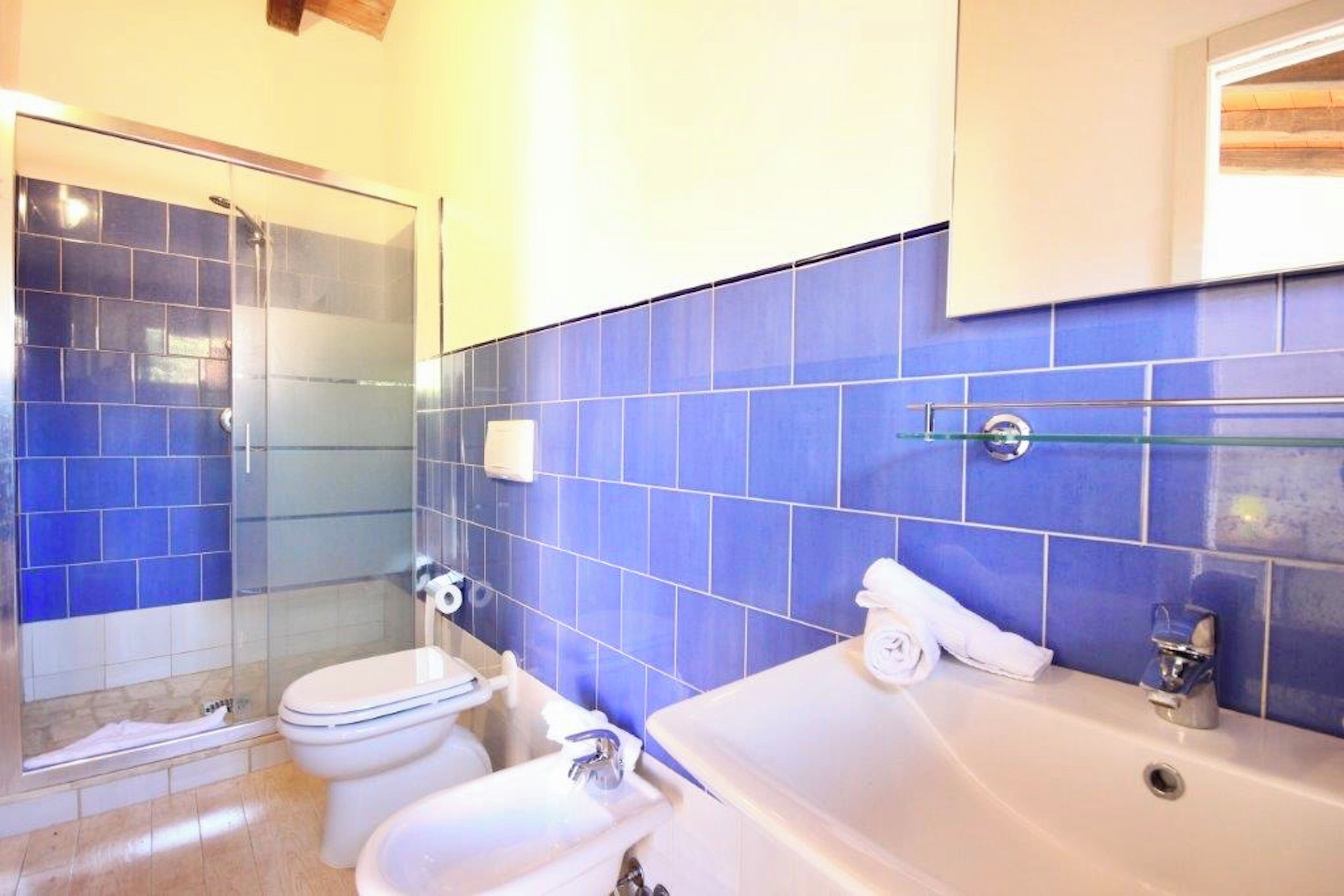 Un bagno con doccia vetrata, un water bianco e un lavandino bianco con specchio.