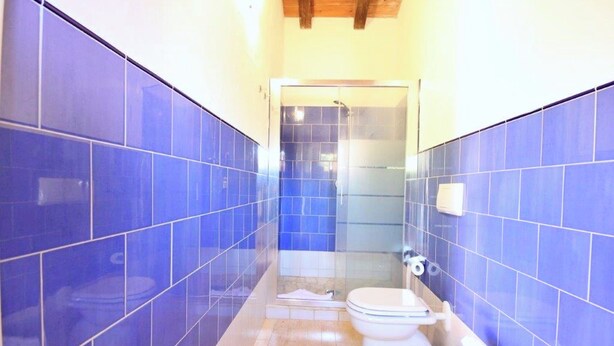 A bathroom with blue tiles, a toilet, a sink, and a shower area. - Villas with common or private pool in Costa Rei (Muravera)