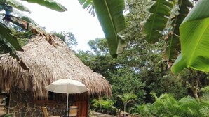 Un'area piscina con una struttura a tetto di paglia, pareti in pietra e piante tropicali.