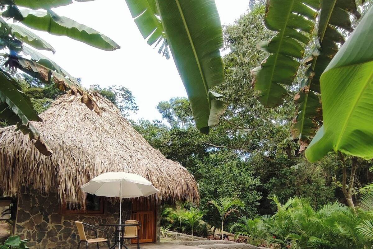 Un'area piscina con una struttura a tetto di paglia, pareti in pietra e piante tropicali.