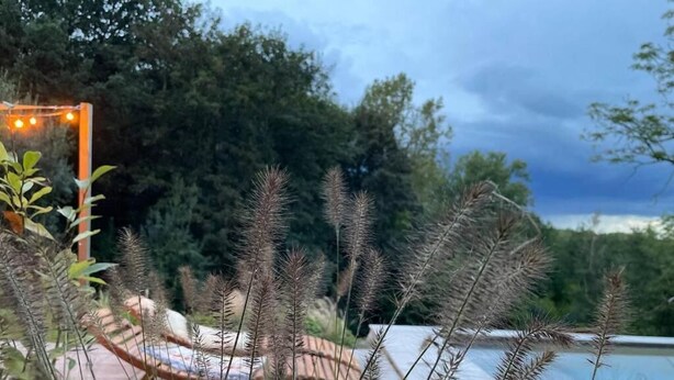 A poolside area with lounge chairs and a pergola. - La Canopée des Arbres Juliette! Relax and enjoy yourself at the edge of the forest! (Ellezelles)