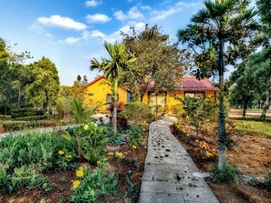 Habitació Deluxe, vistes al jardí | Vista del pati