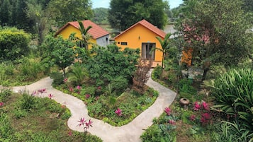 Vue sur le jardin