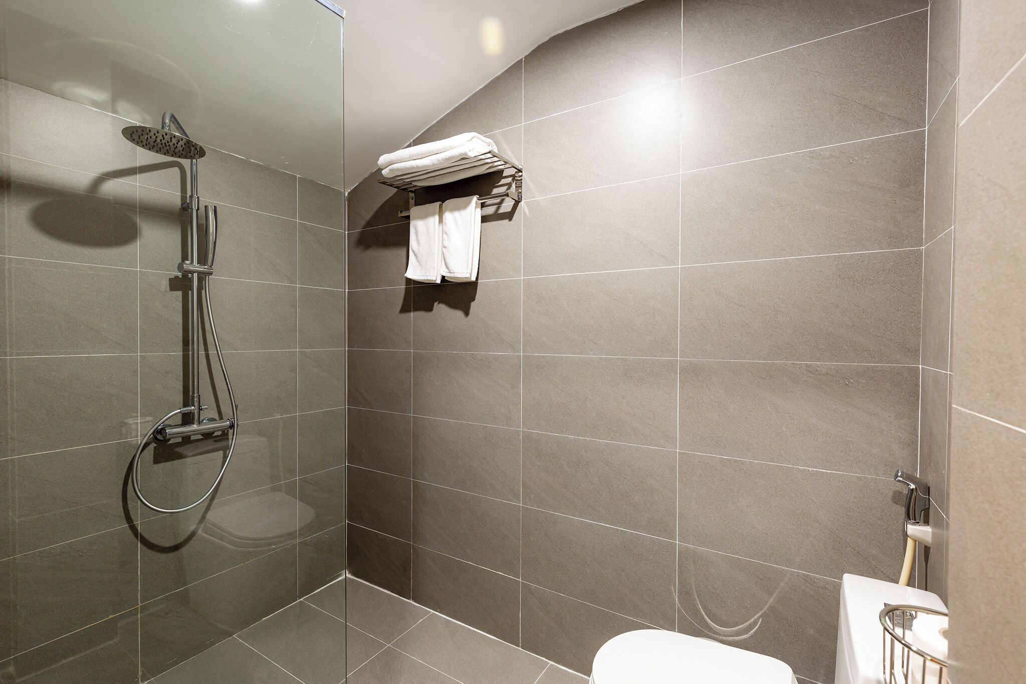 A modern bathroom with a glass-enclosed shower, a toilet, and a towel rack.