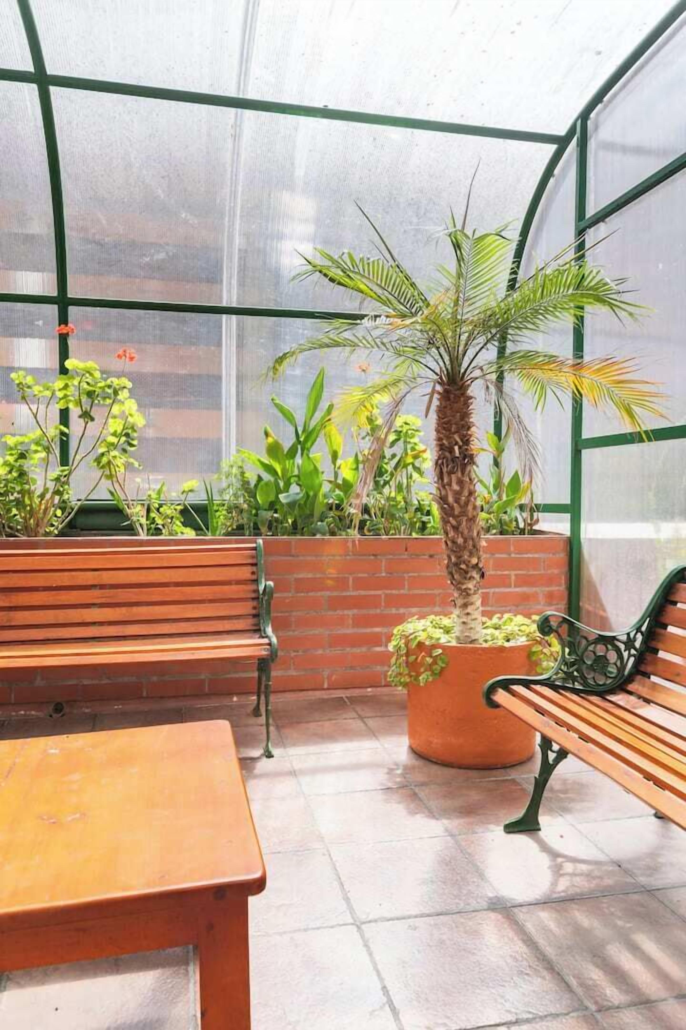 A greenhouse with benches and potted plants.